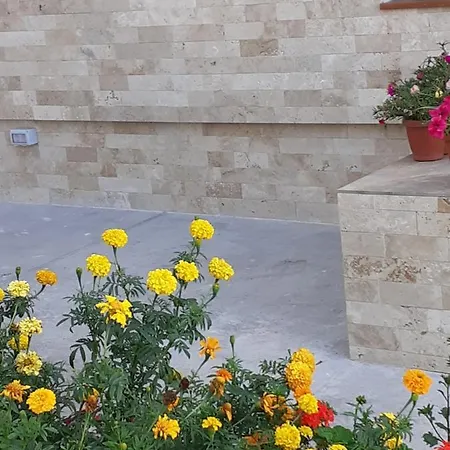 Affittacamere Irina 3*